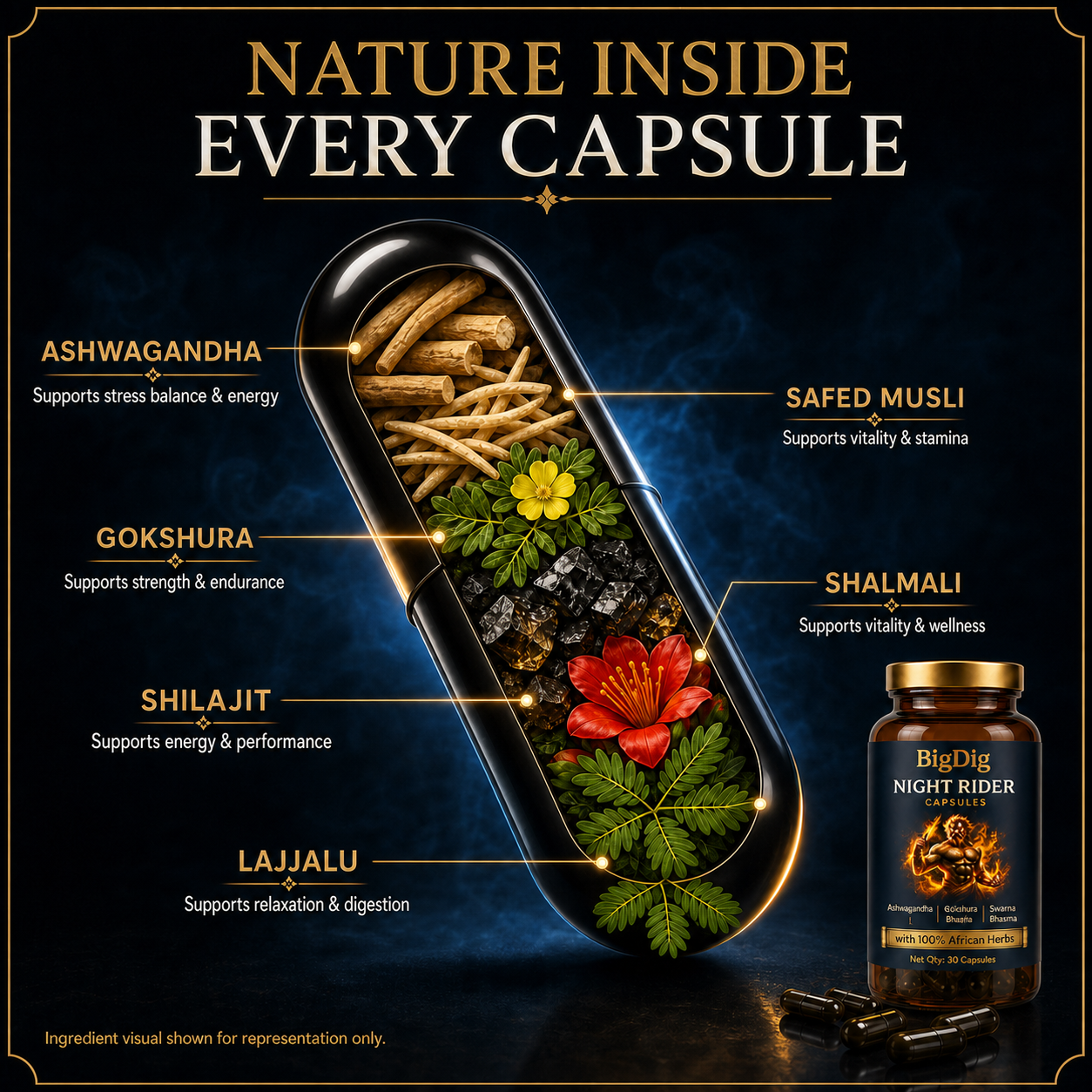 Night Rider Capsules (2 Bottles)